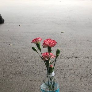 Meet your Posher, Wendy